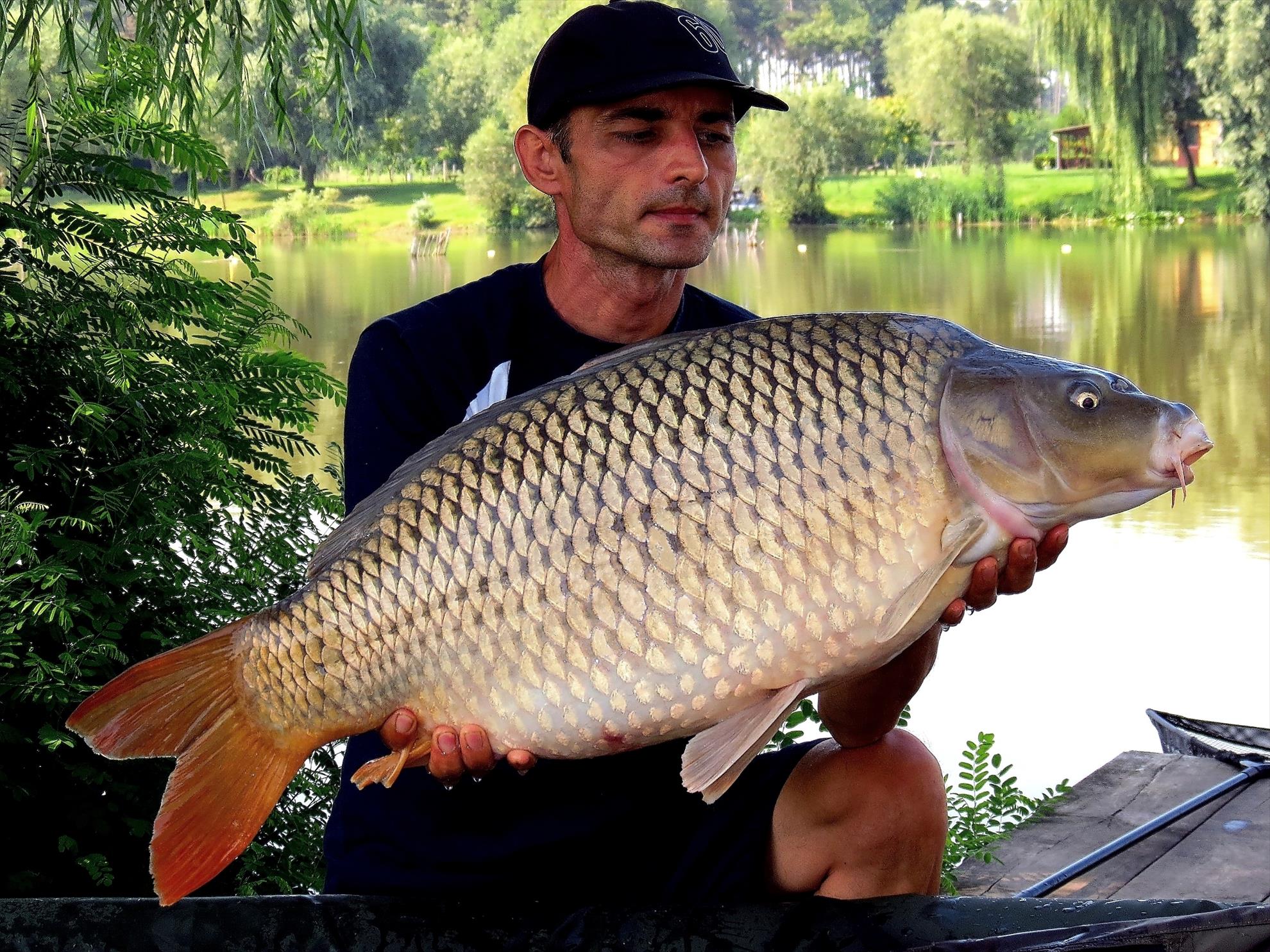 Palici - img5955---1198-kg.jpg